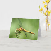 Vrouw Meadow Hawk Notecard Kaart (Gele Bloem)