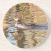 Vrouw Merganser Eend Zwemt door in Kalm Water Zandsteen Onderzetter (Voorkant)