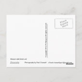 Vrouw met Black Veil Briefkaart (Achterkant)