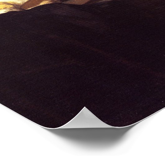 Vrouw met een Lute Poster (Hoek)