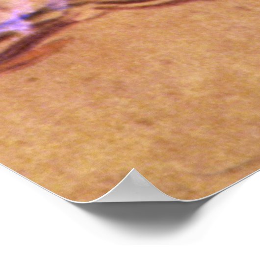 Vrouw Met haar haar van Toulouse-Lautrec Poster (Hoek)