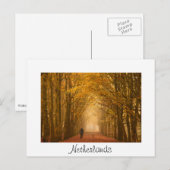 Vrouw met hond op de herfst-ochtendkaart briefkaart (Voorkant / Achterkant)