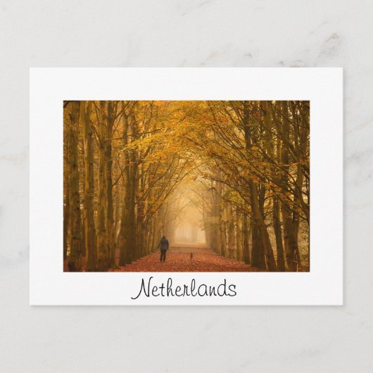 Vrouw met hond op de herfst-ochtendkaart briefkaart (Voorkant)