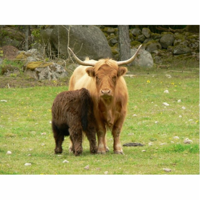 Vrouw met lange afstanden en haar jonge staand fotobeeldje  (Voorkant)