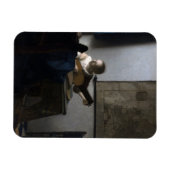 Vrouw met Lute Johannes Vermeer Magneet (Horizontaal)