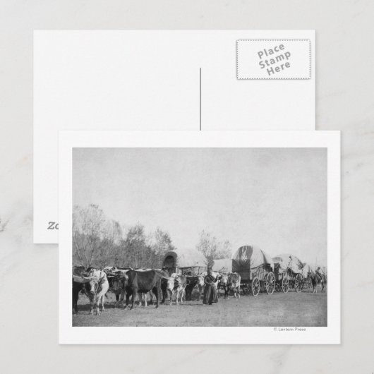 Vrouw met Ox-trein houdt een foto van het heupprog Briefkaart (Voorkant / Achterkant)