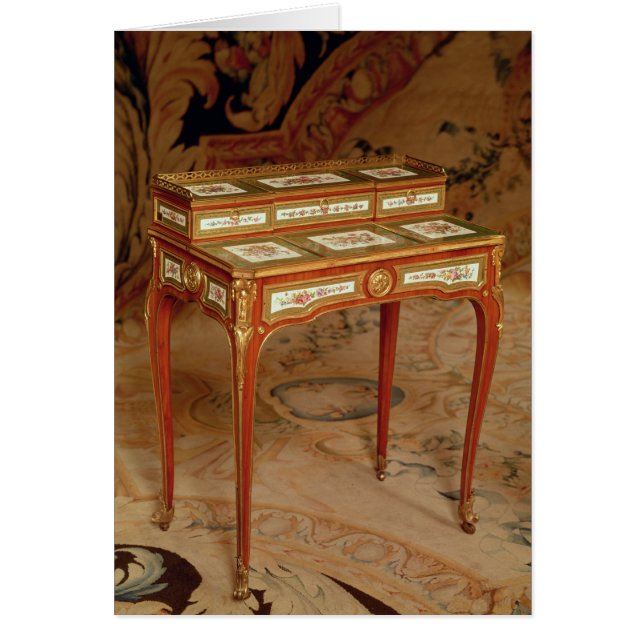 Vrouw met panelen van het porselein van Sevres (Voorkant)