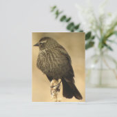 Vrouw met rode vleugel2 Briefkaart (Staand voorkant)