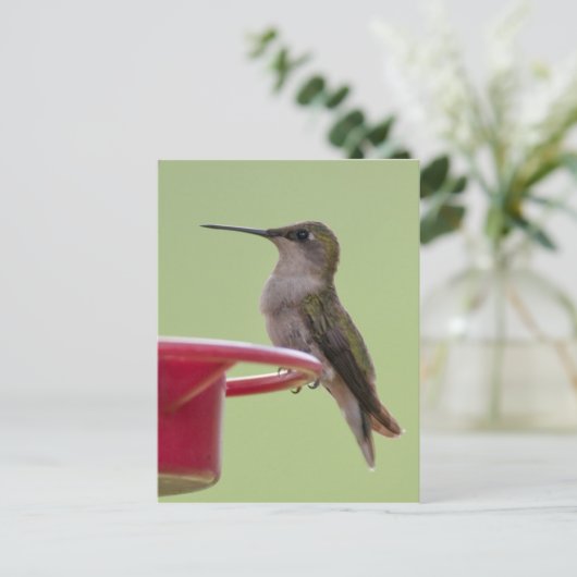 Vrouw met ruby-Throated Hummingbird Briefkaart (Staand voorkant)