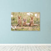 Vrouw met wift fox (Vulpes velox) met jonge Canvas Afdruk (Insitu (Houten vloer))