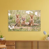 Vrouw met wift fox (Vulpes velox) met jonge Canvas Afdruk (Insitu (Woonkamer))