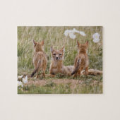 Vrouw met wift fox (Vulpes velox) met jonge Legpuzzel (Horizontaal)
