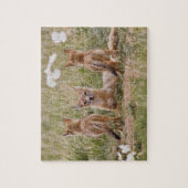 Vrouw met wift fox (Vulpes velox) met jonge Legpuzzel (Verticaal)