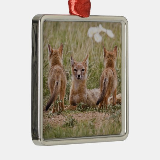 Vrouw met wift fox (Vulpes velox) met jonge Metalen Ornament (Rechts)