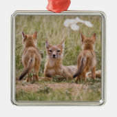 Vrouw met wift fox (Vulpes velox) met jonge Metalen Ornament (Voorkant)