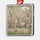 Vrouw met wift fox (Vulpes velox) met jonge Metalen Ornament (Links)