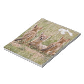 Vrouw met wift fox (Vulpes velox) met jonge Notitieblok (Linkerzijde)