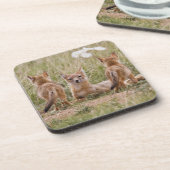 Vrouw met wift fox (Vulpes velox) met jonge Onderzetter (Linkerzijde)