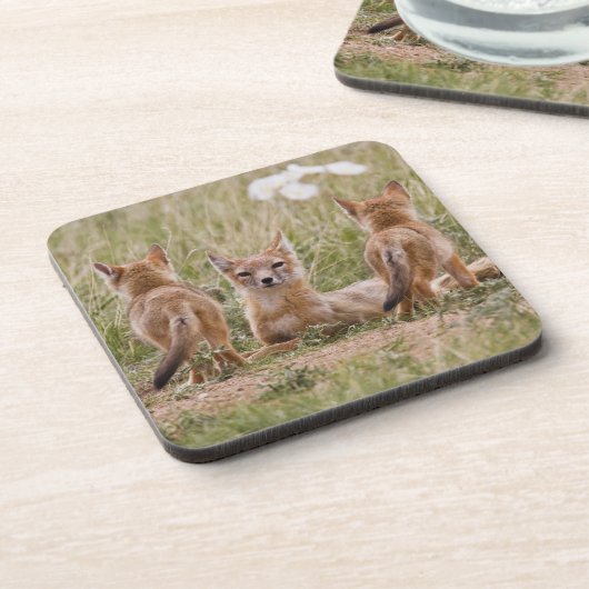 Vrouw met wift fox (Vulpes velox) met jonge Onderzetter (Linkerzijde)