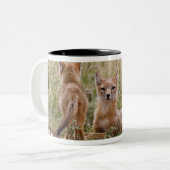 Vrouw met wift fox (Vulpes velox) met jonge Tweekleurige Koffiemok (Voorkant links)