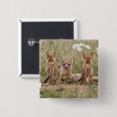 Vrouw met wift fox (Vulpes velox) met jonge Vierkante Button 5,1 Cm (Voorkant /achterkant)