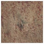 Vrouw met wit paard - LG Print Stof (Close Up)