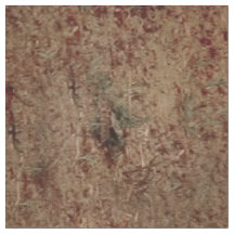 Vrouw met wit paard - LG Print