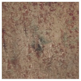 Vrouw met wit paard - LG Print Stof