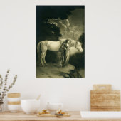 Vrouw met wit paard. poster (Keuken)