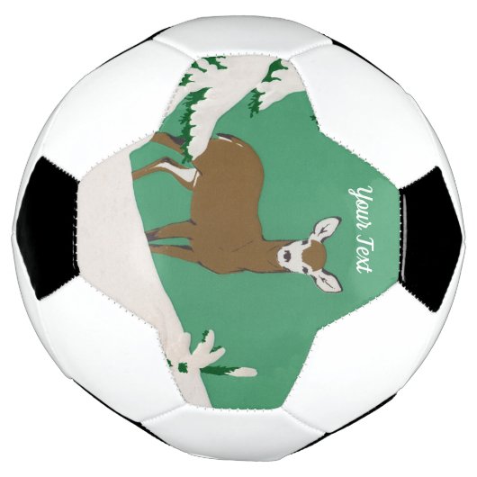 Vrouw met witte zijde, bruin, dunne pine, sneeuwgr voetbal (Gedraaid)