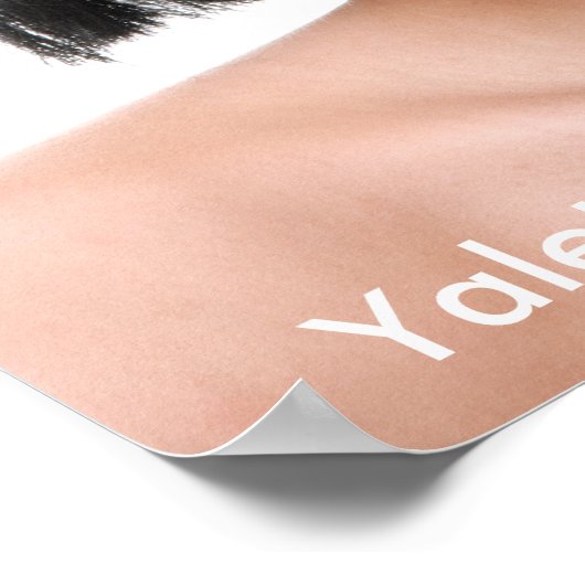 Vrouw Model Hair Salon Poster (Hoek)