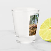Vrouw Model Zonnebaden Thunder_Cove Shot Glas (Links)