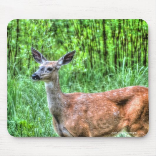 Vrouw Moeder Mule Deer op Ranch Wildlife Foto Muismat (Voorkant)