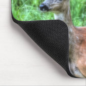 Vrouw Moeder Mule Deer op Ranch Wildlife Foto Muismat (Hoek)