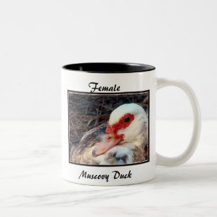 Vrouw Muscovy Duck Tweekleurige Koffiemok
