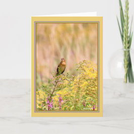 Vrouw/niet-broedmannetje Kaart