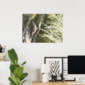 Vrouw Noord-Flicker Woodpecker Poster (Thuiskantoor)