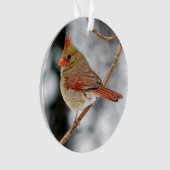 Vrouw Noord-Kardinaal Acrylversiering Ornament (voorkant)