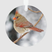 Vrouw Noord-Kardinaal Acrylversiering Ornament (achterkant)