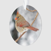 Vrouw Noord-Kardinaal Acrylversiering Ornament (voorkant)