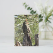 Vrouw Noord-Kardinaal Briefkaart (Staand voorkant)