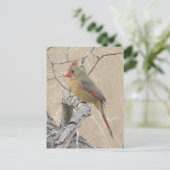 Vrouw Noord-Kardinaal Briefkaart (Staand voorkant)