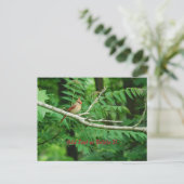 Vrouw Noord-Kardinaal briefkaart (Staand voorkant)