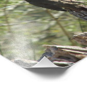 Vrouw noordelijke foto's foto afdruk (Hoek)