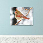 Vrouw Noordelijke Kardinaal Canvas Print (Insitu (Houten vloer))