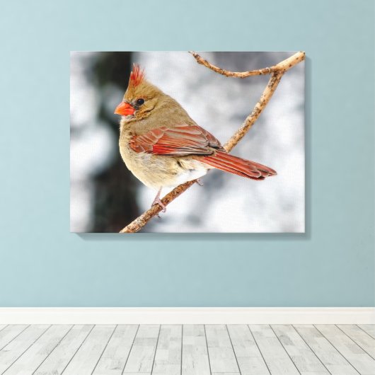 Vrouw Noordelijke Kardinaal Canvas Print (Insitu (Houten vloer))