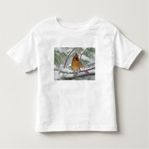 Vrouw noordelijke Kardinaal in snowy-pijnboom, Kinder Shirts