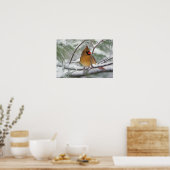 Vrouw noordelijke Kardinaal in snowy-pijnboom, Poster (Keuken)