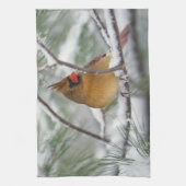 Vrouw noordelijke Kardinaal in snowy-pijnboom, Theedoek (Verticaal)