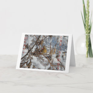 Vrouw Noordelijke Kardinaal & Snowy Tree Feestdagen Kaart